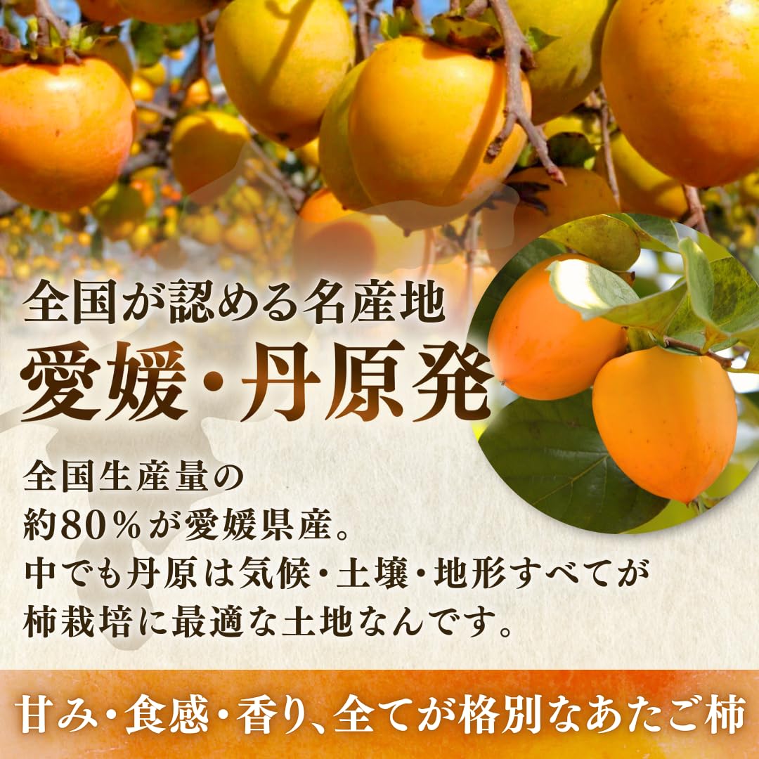 Amazon.co.jp: 柿 かき あたご柿 渋柿 干柿用渋柿 《佐竹果樹園の